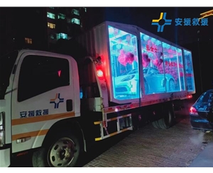透明箱車拖運