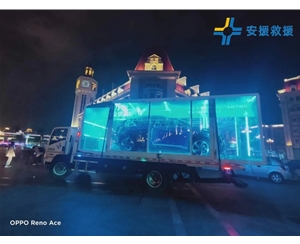 透明箱車拖運